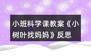 小班科學(xué)課教案《小樹葉找媽媽》反思