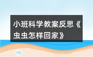 小班科學教案反思《蟲蟲怎樣回家》