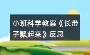 小班科學(xué)教案《長(zhǎng)帶子飄起來》反思