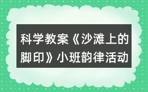 科學(xué)教案《沙灘上的腳印》小班韻律活動誰的腳印反思