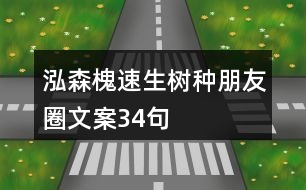 泓森槐速生樹種朋友圈文案34句