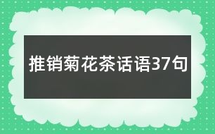 推銷菊花茶話語37句