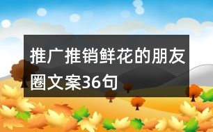 推廣推銷(xiāo)鮮花的朋友圈文案36句