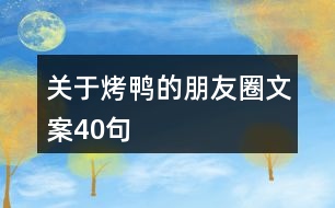 關于烤鴨的朋友圈文案40句