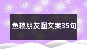 魚(yú)糧朋友圈文案35句