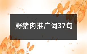 野豬肉推廣詞37句