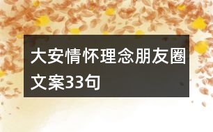 大安情懷理念朋友圈文案33句