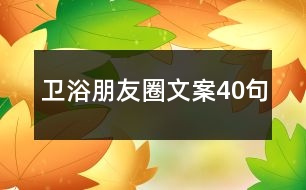 衛(wèi)浴朋友圈文案40句