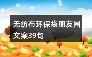 無紡布環(huán)保袋朋友圈文案39句