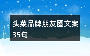 頭菜品牌朋友圈文案35句