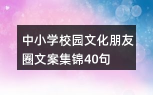 中小學校園文化朋友圈文案集錦40句