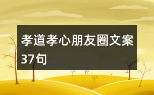 孝道、孝心朋友圈文案37句