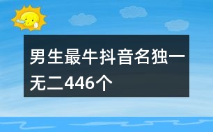 男生最牛抖音名獨(dú)一無(wú)二446個(gè)