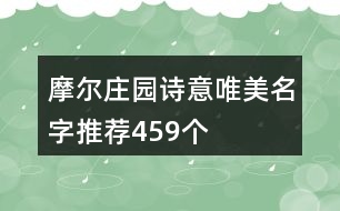 摩爾莊園詩意唯美名字推薦459個