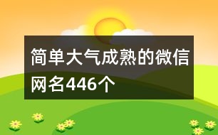 簡單大氣成熟的微信網(wǎng)名446個