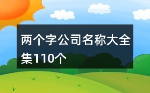 兩個字公司名稱大全集110個