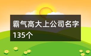 霸氣高大上公司名字135個