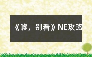 《噓，別看》NE攻略