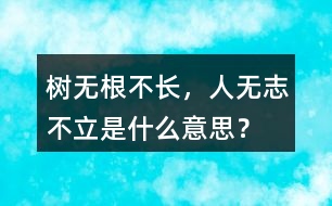 樹無根不長，人無志不立是什么意思？