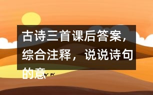 古詩三首課后答案，綜合注釋，說說詩句的意思？