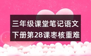 三年級(jí)課堂筆記：語(yǔ)文下冊(cè)第28課棗核重難點(diǎn)