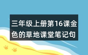 三年級上冊第16課金色的草地課堂筆記句子解析