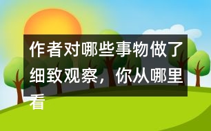 作者對哪些事物做了細(xì)致觀察，你從哪里看出來的