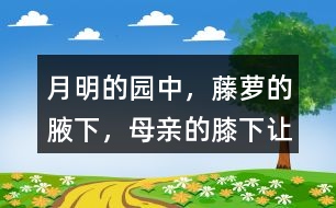 “月明的園中，藤蘿的腋下，母親的膝下”讓你有何感受？