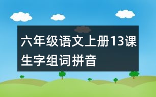 六年級(jí)語(yǔ)文上冊(cè)13課生字組詞拼音