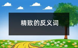 精致的反義詞