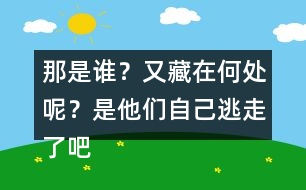 那是誰？又藏在何處呢？是他們自己逃走了吧……這樣表達(dá)好處在哪里？