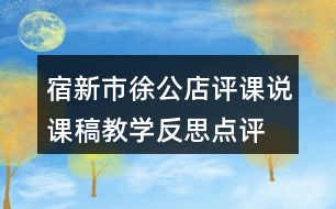 宿新市徐公店評課說課稿教學反思點評