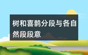 樹和喜鵲分段與各自然段段意