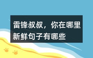 雷鋒叔叔，你在哪里新鮮句子有哪些