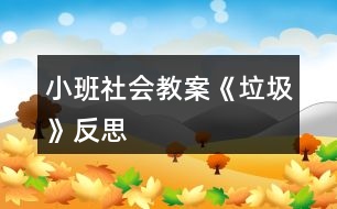 小班社會教案《垃圾》反思