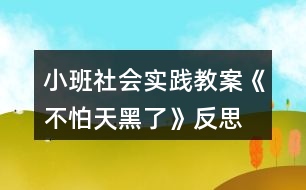 小班社會實踐教案《不怕天黑了》反思