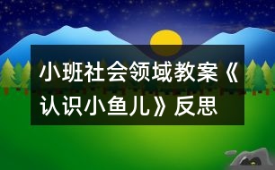 小班社會(huì)領(lǐng)域教案《認(rèn)識(shí)小魚兒》反思