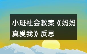 小班社會教案《媽媽真愛我》反思