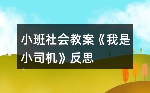 小班社會(huì)教案《我是小司機(jī)》反思