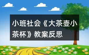 小班社會(huì)《大茶壺、小茶杯》教案反思