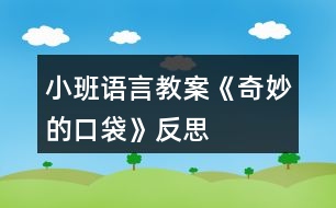 小班語(yǔ)言教案《奇妙的口袋》反思