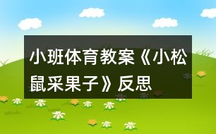 小班體育教案《小松鼠采果子》反思