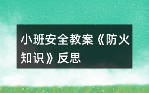 小班安全教案《防火知識》反思