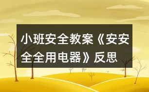 小班安全教案《安安全全用電器》反思