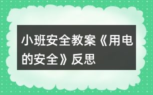 小班安全教案《用電的安全》反思