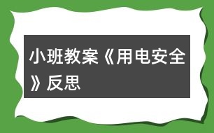 小班教案《用電安全》反思