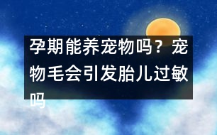 孕期能養(yǎng)寵物嗎？寵物毛會(huì)引發(fā)胎兒過(guò)敏嗎？