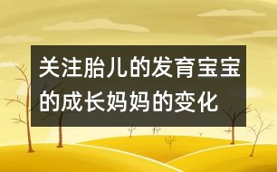 關(guān)注胎兒的發(fā)育：寶寶的成長(zhǎng)、媽媽的變化