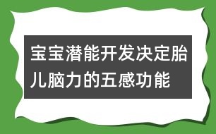 寶寶潛能開(kāi)發(fā)決定胎兒腦力的五感功能