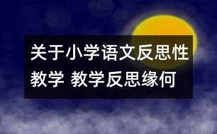 關(guān)于小學(xué)語(yǔ)文反思性教學(xué) 教學(xué)反思緣何起？